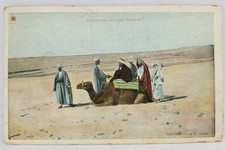 Egypt Bedouins in Desert Camel L & H Cairo Antique c1910s Postcard picture