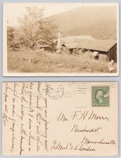 RPPC Rustic Mountain Homestead Cabin Postcard 1920s Nantucket MA picture