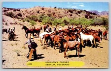 Sedalia Cowboys~Phyllis Bonnie Sylvia Lois Rosie Flossie Letha @ Johnsons Corner picture