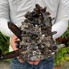 2.04LB Natural smoky black quartz cluster crystal mineral specimen healing picture