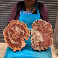 2pcs 6.86 LB Natural Petrified Wood Crystal Fossil Slice Crystal Specimen 6190 picture