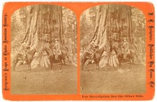 CALIFORNIA STEREOVIEW - Calaveras Big Trees - Sentinel Tree - JC Scripture 1870s picture