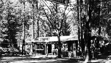 Pine Grove Resort, Amador County, California - 1935 - Historic Photo Print picture