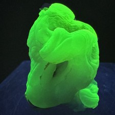 Bright Green Fl. Chalcedony: Yankee Dog Claim, Hidalgo County, New Mexico, picture