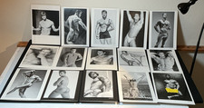 Vintage Colt Studio 15 Photo Greeting Cards Lot Gay Interest Jim French picture