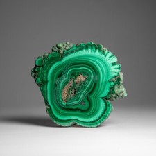 Genuine Polished Malachite Stalactite Slice (229 grams) picture