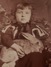 Antique 1900s Ward's Studio Visalia CA Photo Girl Holding Large Pet Rabbit Doll picture