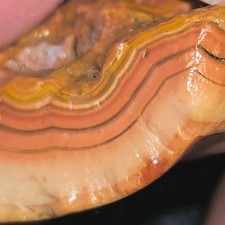 Solid Fairburn Agate Pink Cream Brown Specimen picture