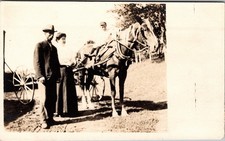 Postcard Real Photo RPPC Family with Horse Drawn Cart Unposted picture