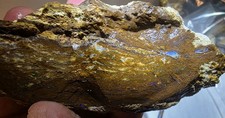Australian Boulder opal rough Koroit 870 carats picture