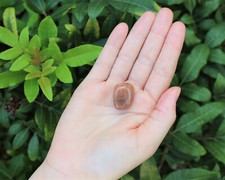 1 x Tumbled Stone Crystal: Choose From 130+ Types (Polished Gemstones) picture