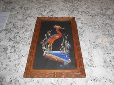 Framed Mexican Feather Art Tropical Bird Hand Made /Glass picture