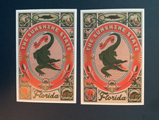 Florida FL Sunshine State Alligator Gator Lantern Press Postcard (2) picture