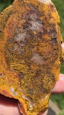 Sagenite Needle Agate Slices Slab 2 Matching Pair Lapidary Rough Scenic Moss  picture