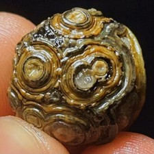 TOP 7G Natural China's Gobi Desert Gobi Agate Eyes Agate Crystal  Healing L5093 picture