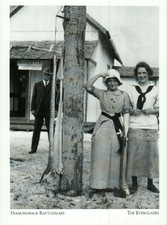 *Florida Postcard-
