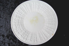 Belleek Irish Vintage Tridacna Pattern Plate 6