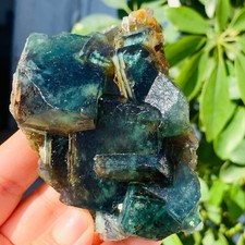296g Rare Transparent Green Cube Fluorite Mineral Crystal Specimen Healing picture