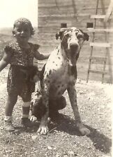 Black and White Photo 1940 Girl Toddler and Her Dog  8 x 10 Reprint  A-5 picture