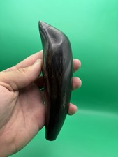 HUGE Sperm Cetacean Fossil Tooth - Wonderful Polished - PYRITE VEINS picture