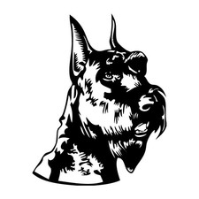 Schnauzer Head Portrait Dog Decal Sticker Black Die Cut Vinyl picture