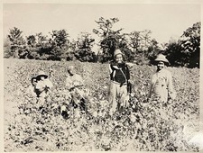 Photo Hallelujah King Vidor USA 1929, ARCHIVE SNARK/Coll. J. Chevallier picture