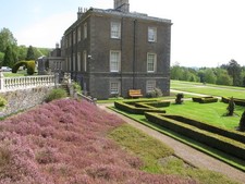 Photo A2 Bowhill, house, lawn, heather bank, topiary Bowhill/NT4227 c2018 picture