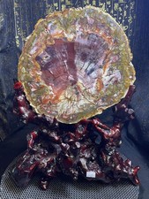 9.66LB Natural Petrified Wood Slice mineral specimen Crystal energy healing+base picture