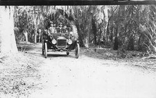 J79/ St Petersburg Florida RPPC Postcard c1910 Early Automobile Forest 110 picture