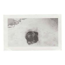 Vintage Snapshot Photo Two Women Inside Snow Igloo Winter Vernacular Photograph picture