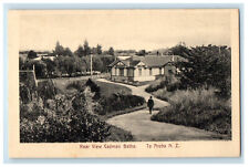 c1910s Rear View Cadman Baths Te Aroha New Zealand NZ Unposted Postcard picture