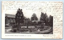 Lily Pond - Shaw's Garden - St. Louis MISSOURI 1904 UDB Postcard picture