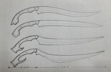 Set of 4 Handmade Forge Carbon Steel Swords Full Tang For My Client picture