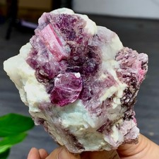 273G Natural Red tourmaline with purple lepidolite mineral crystal specimen picture
