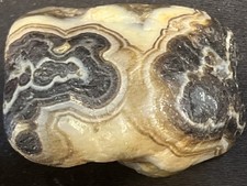 South Dakota Fairburn Agate Black and White Beauty 68g 2.4oz State Gem” picture