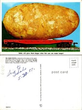 Idaho ID The Idaho Potato Huge Postcard 61690 picture