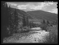 Meredith Colorado 1941 Frying Pan Creek Log Bridge Ranch Road Mountains picture