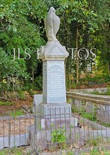 South Carolina - Edgefield General Matthew C. Butler CSA Grave (5x7 Photo) picture