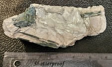 Large Green Elbaite Tourmaline in Muscovite Specimen, South Dakota picture