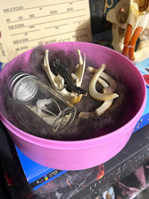 Oddity box Mummified lizard. Muskrat jaw bone rat ribs and groundhog teeth picture