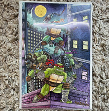 TMNT Teenage Mutant Ninja Turtles #1 MegaCon Orlando 2025 Variant Signed 20/20 picture