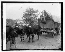 Photo:Ezra Meeker 1925 101 Ranch Covered Wagon Ox Team Pioneers picture