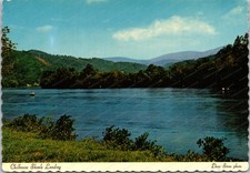 Chilhowee Shoals Landing Little Tennessee River Continental Postcard C247 picture