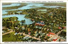 Aerial View of Tarpon Springs FL Vintage Postcard TP14-25 picture
