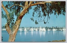 Newport Beach California, Lido Isle Regatta Days Sailboats, Vintage Postcard picture