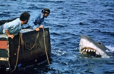 Behind-the-scenes footage of the movie Shark (Jaws, 1975), Photo 8.5x11 Luster picture