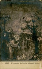 Assisi Italy St Francis Preaching Birds Giotto Art Vintage Postcard picture