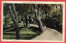 Lovers Lane, City Park, York NE- Neb Antique Vintage Postcard picture
