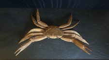 Vintage Hand Carved 24” Hardwood Crab. Artist Signed “Mendoza” Great Condition picture