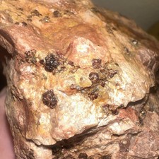 RARE Garnet In Feldspar Matrix Specimen - From Central Texas - 1.7 Lbs picture